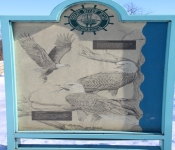 2015 02 07 RedWing 002